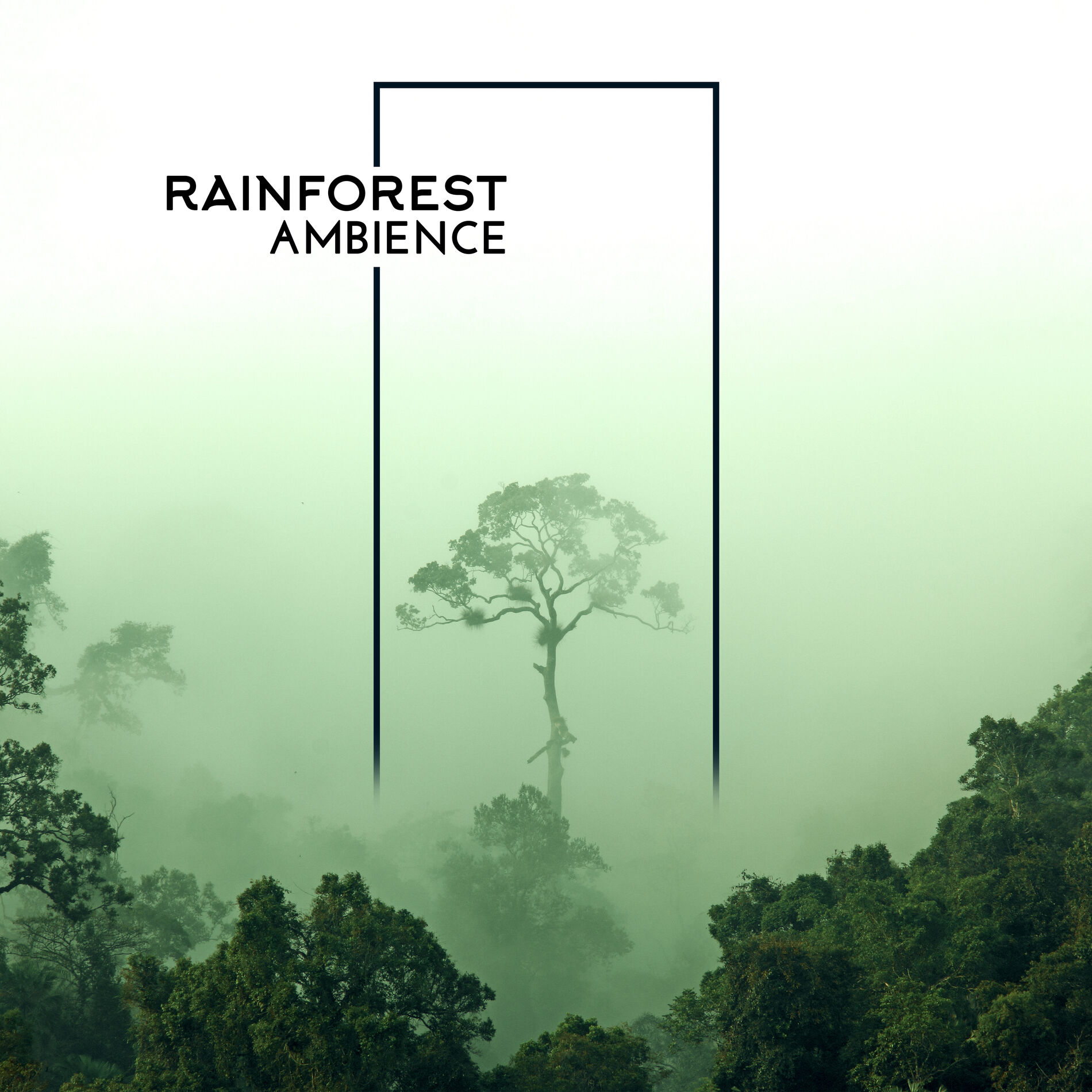 Album cover of Rainforest Ambience: Relaxing Music with Tropical Sounds of Nature