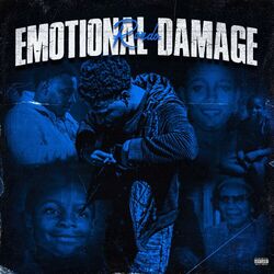 Cover of Emotional Damage