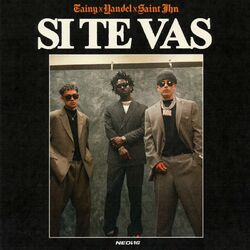 Cover of SI TE VAS