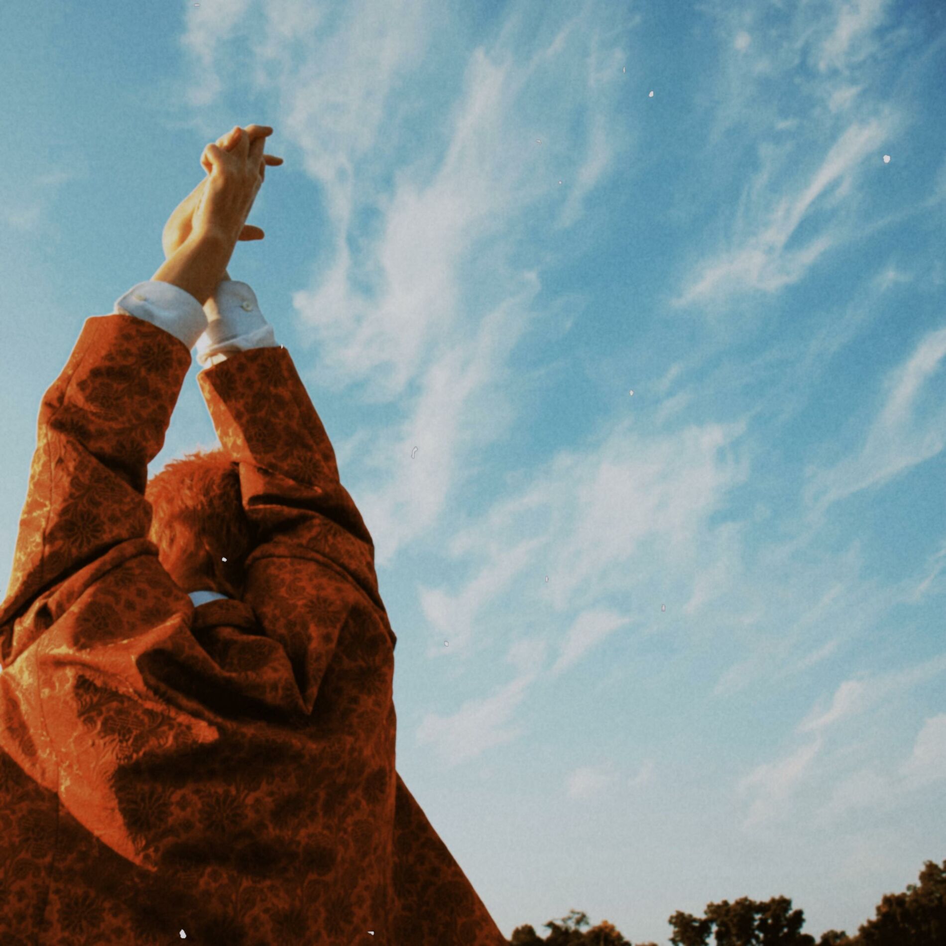Album cover of The Letting Go