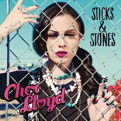 Cover of Sticks & Stones