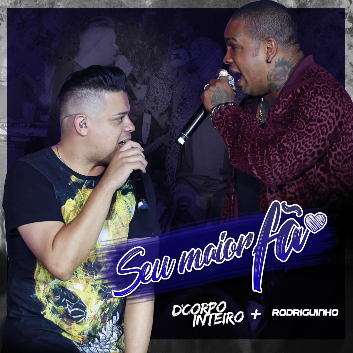 Album cover of Seu Maior Fã