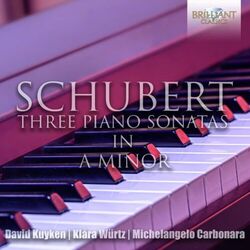 Cover of Schubert: The Three Piano Sonatas in A Minor