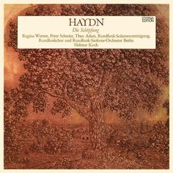 Cover of Haydn: Die Schöpfung