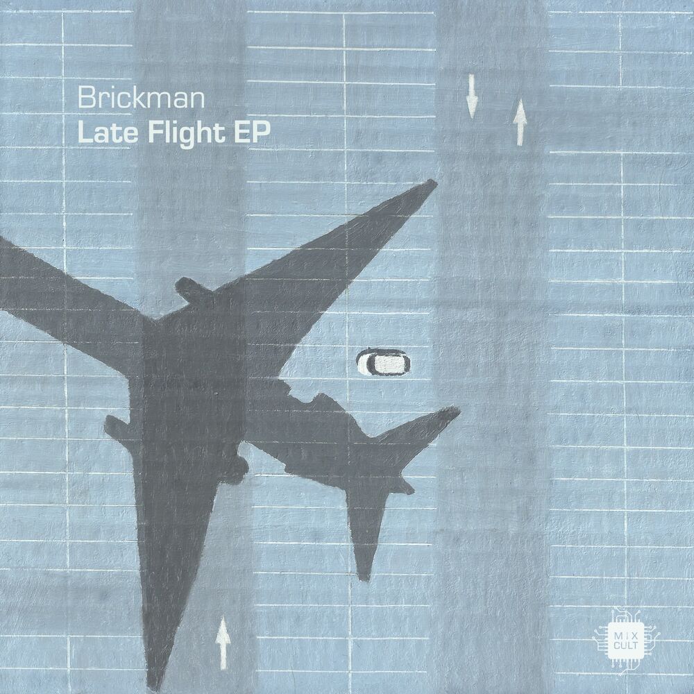 Picture of Late Flight