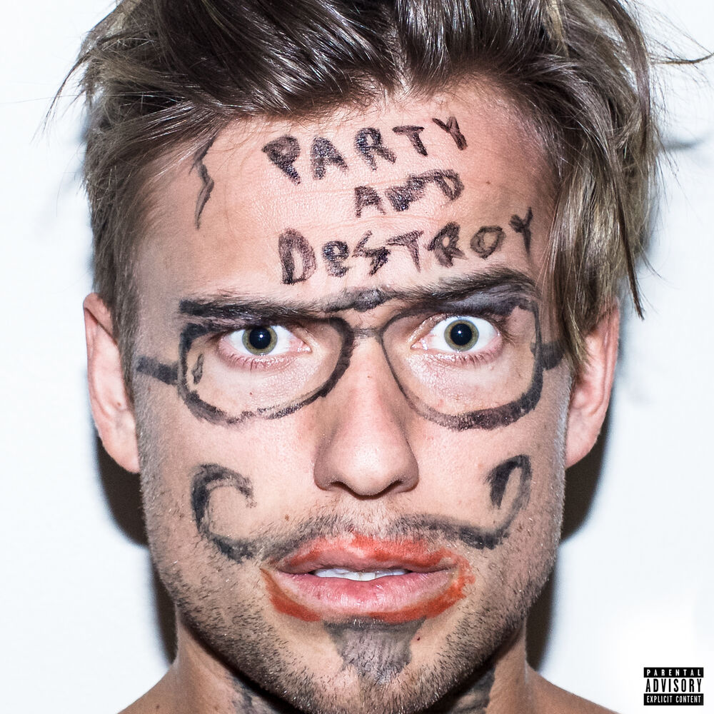 Picture of Party & Destroy