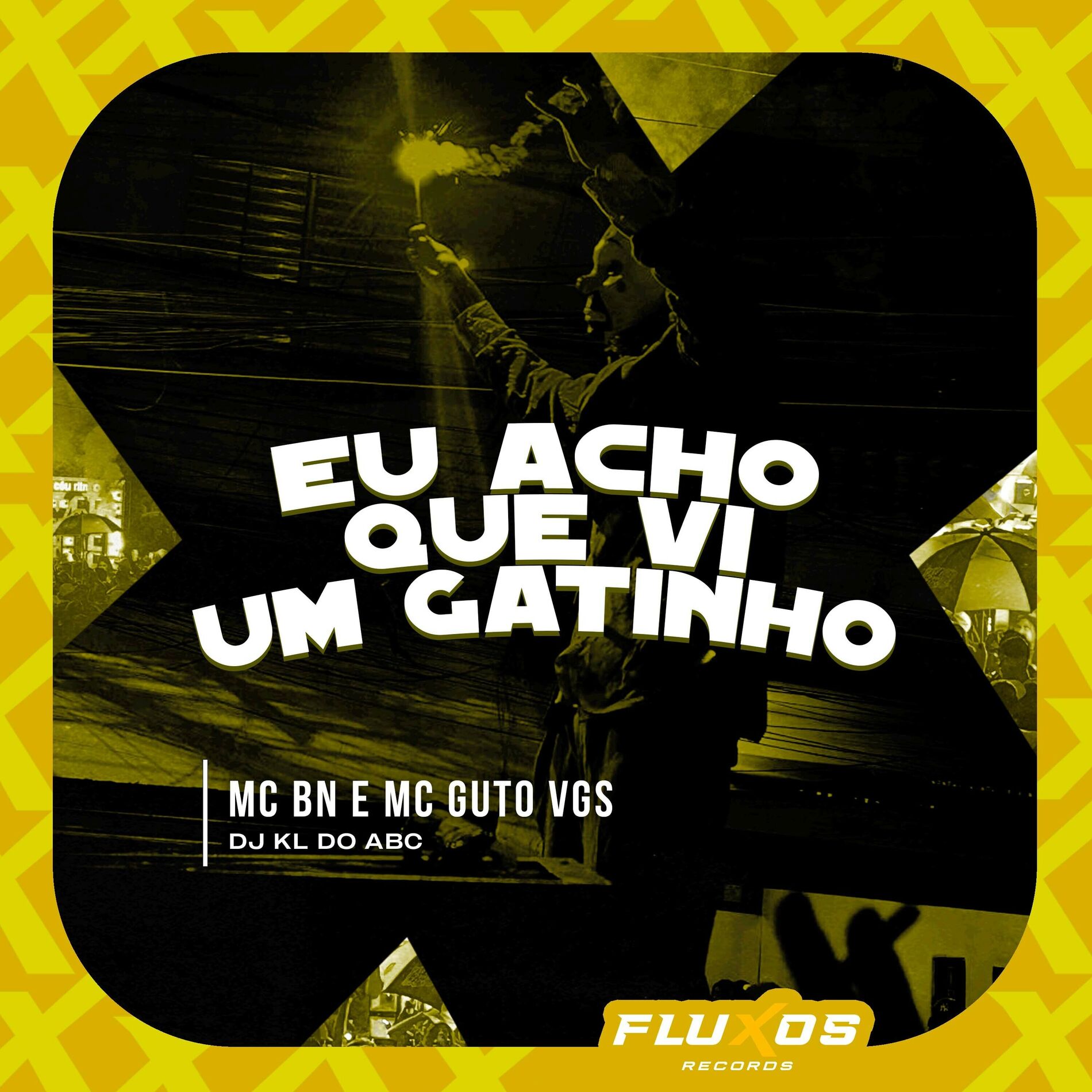 Album cover of Eu Acho Que Vi um Gatinho