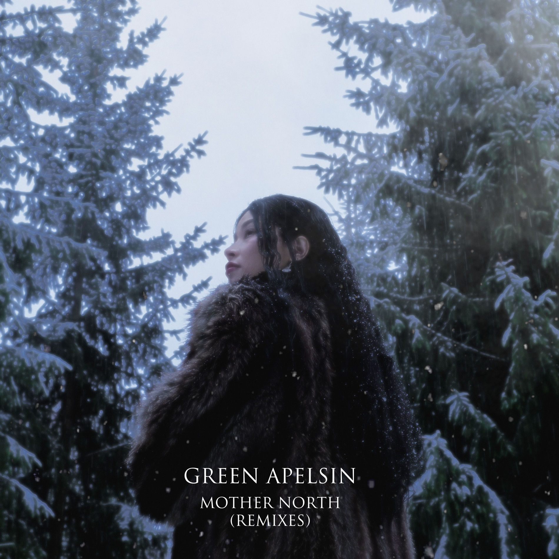 Album cover of Mother North (Remixes)