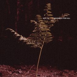 Cover of Invisible for All