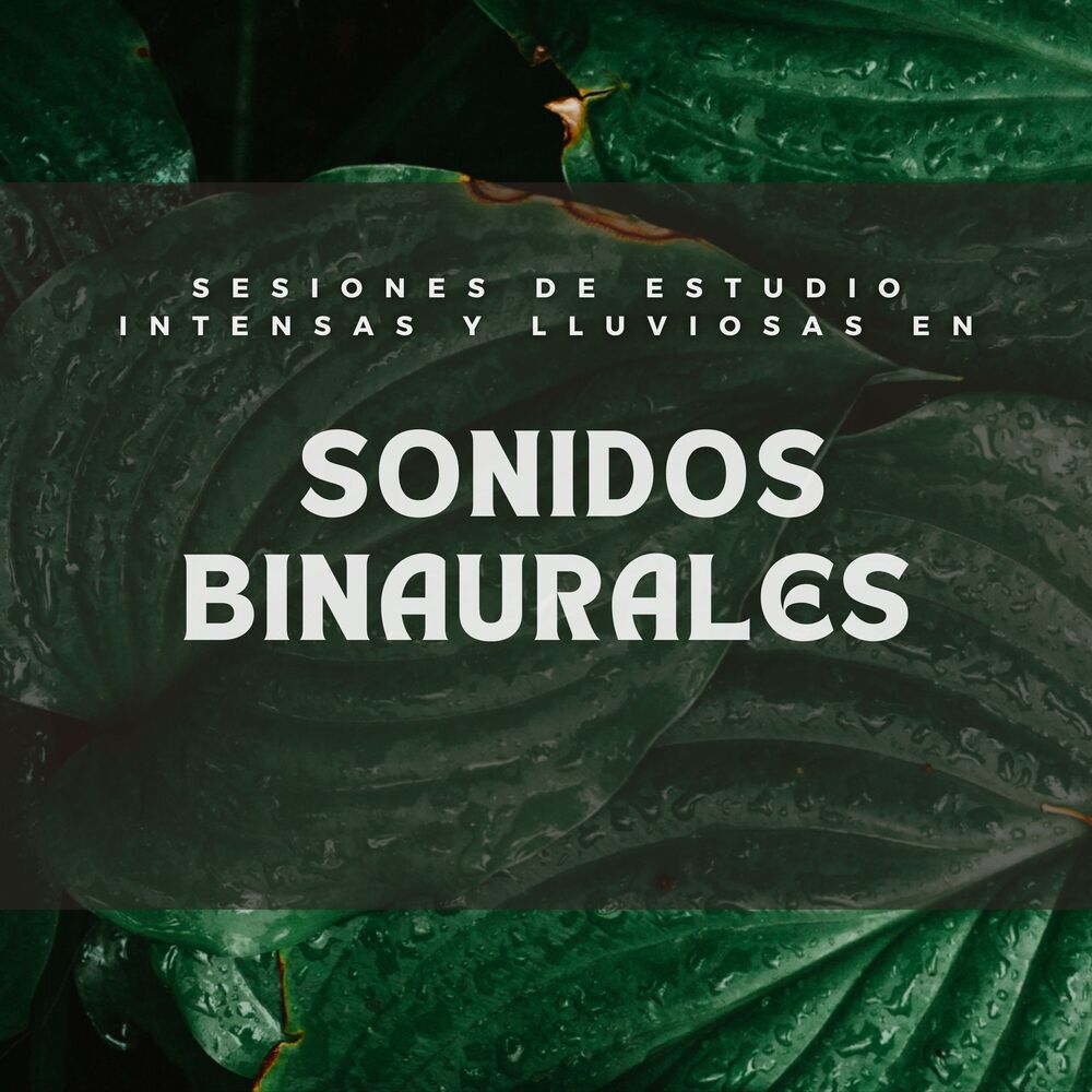 Picture of Sesiones De Estudio Intensas Y Lluviosas En Sonidos Binaurales