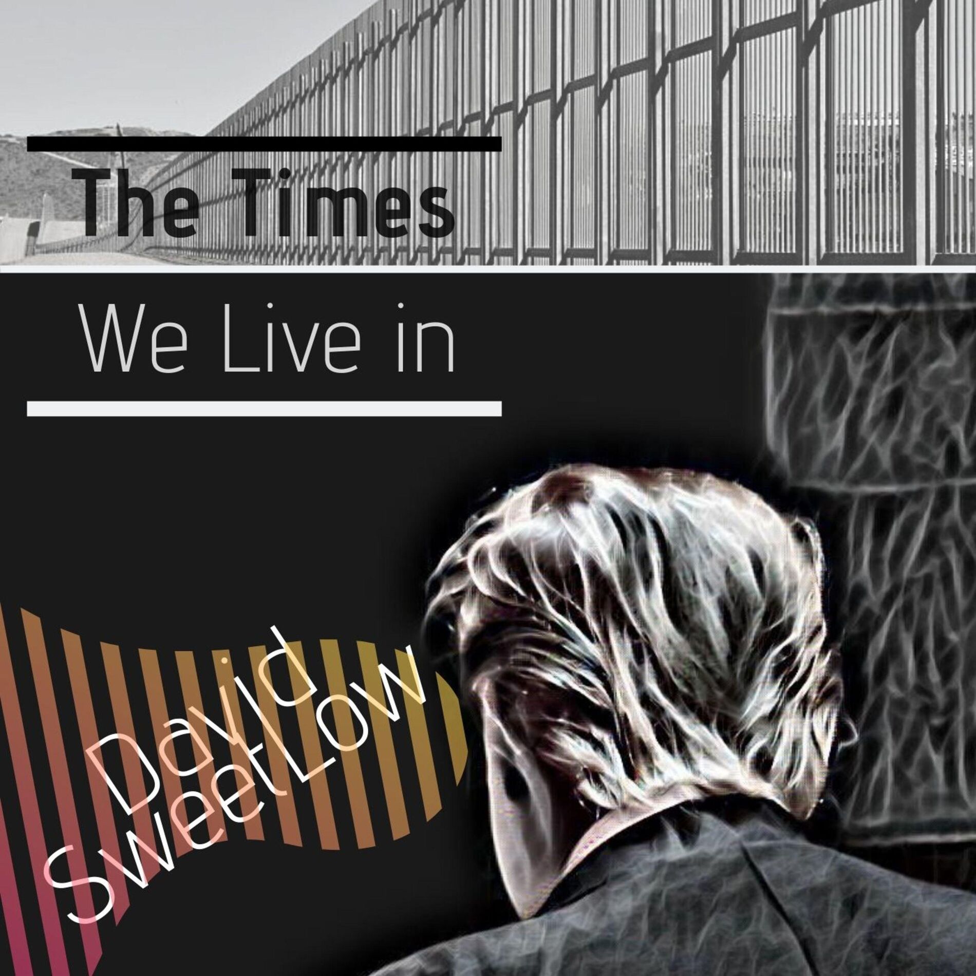 Album cover of The Times We Live In