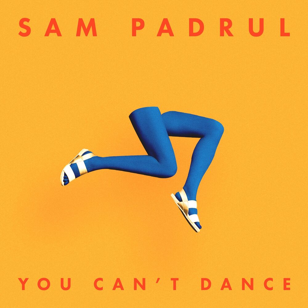 Picture of You Can't Dance