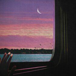 Cover of Traingazing