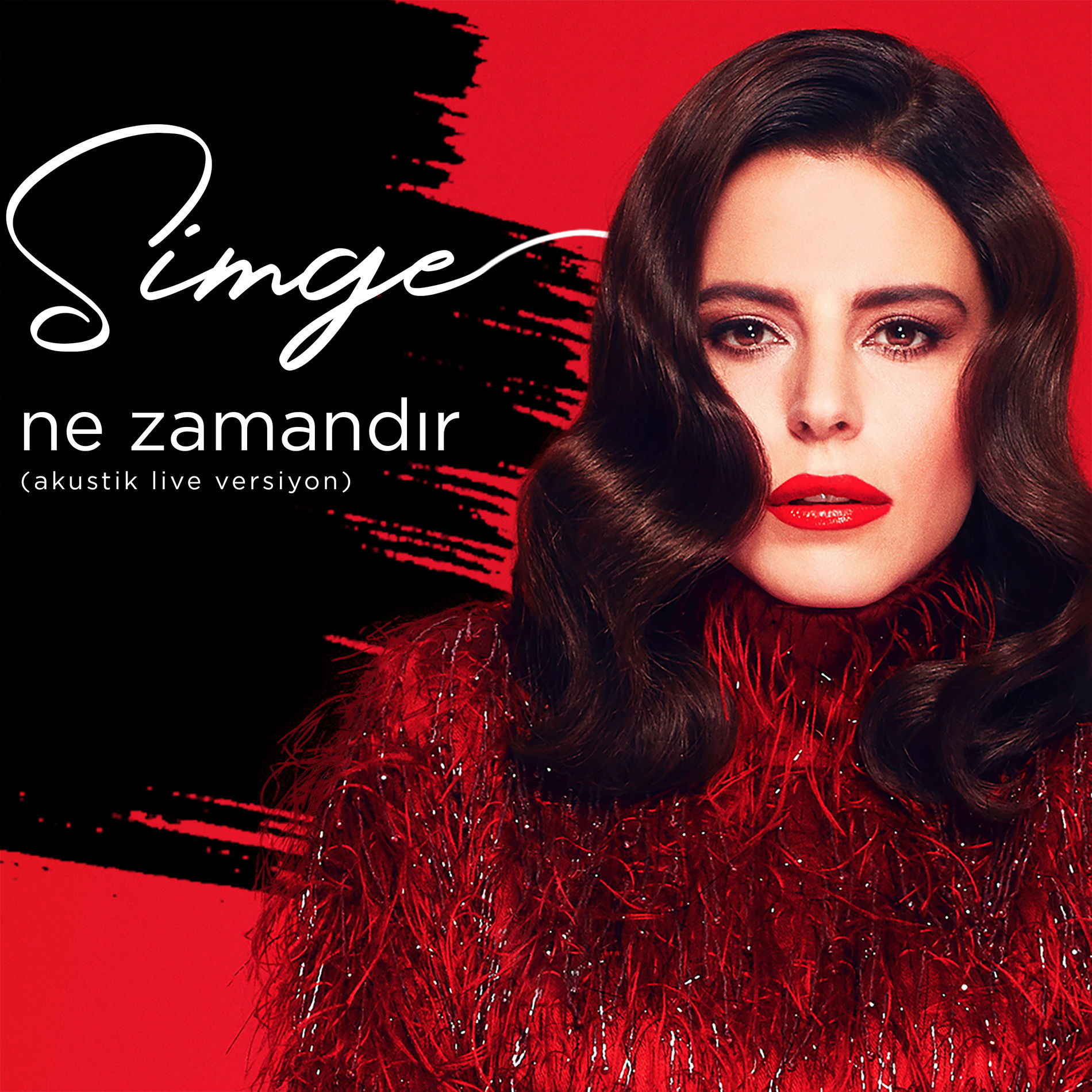 Album cover of Ne Zamandır