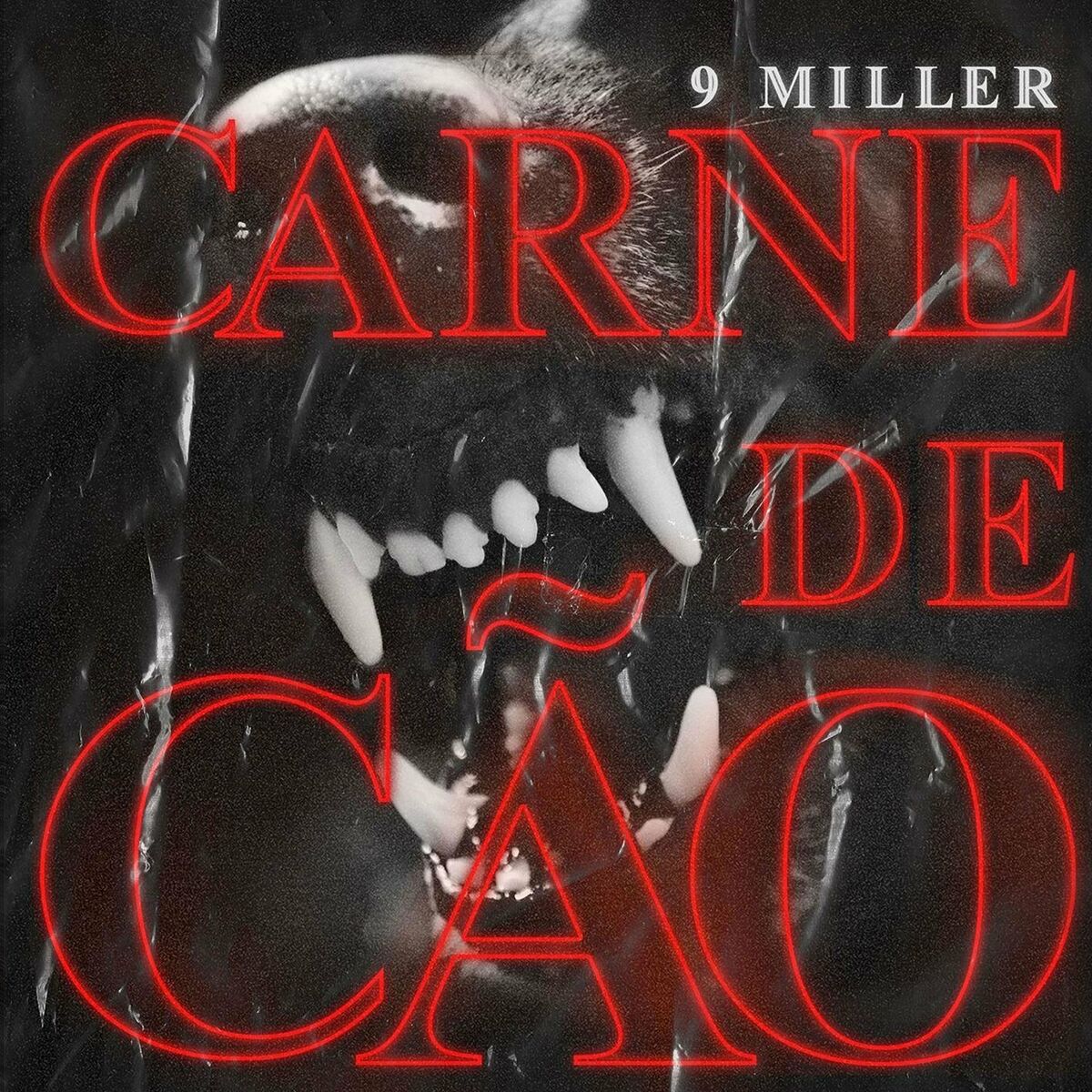 Album cover of Carne de Cão