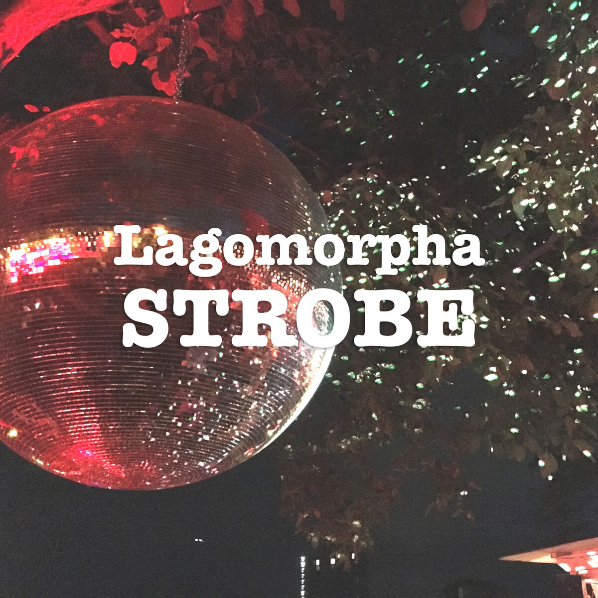 Album cover of Strobe