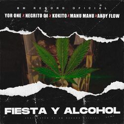 Cover of Fiesta y Alcohol