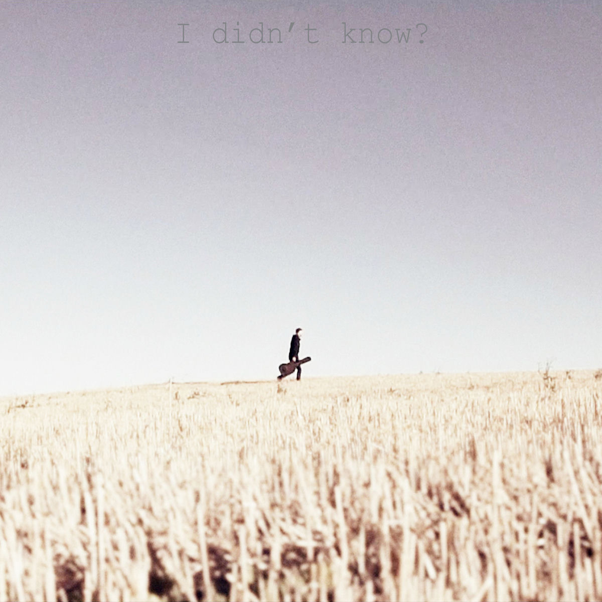 Album cover of I Didn't Know?