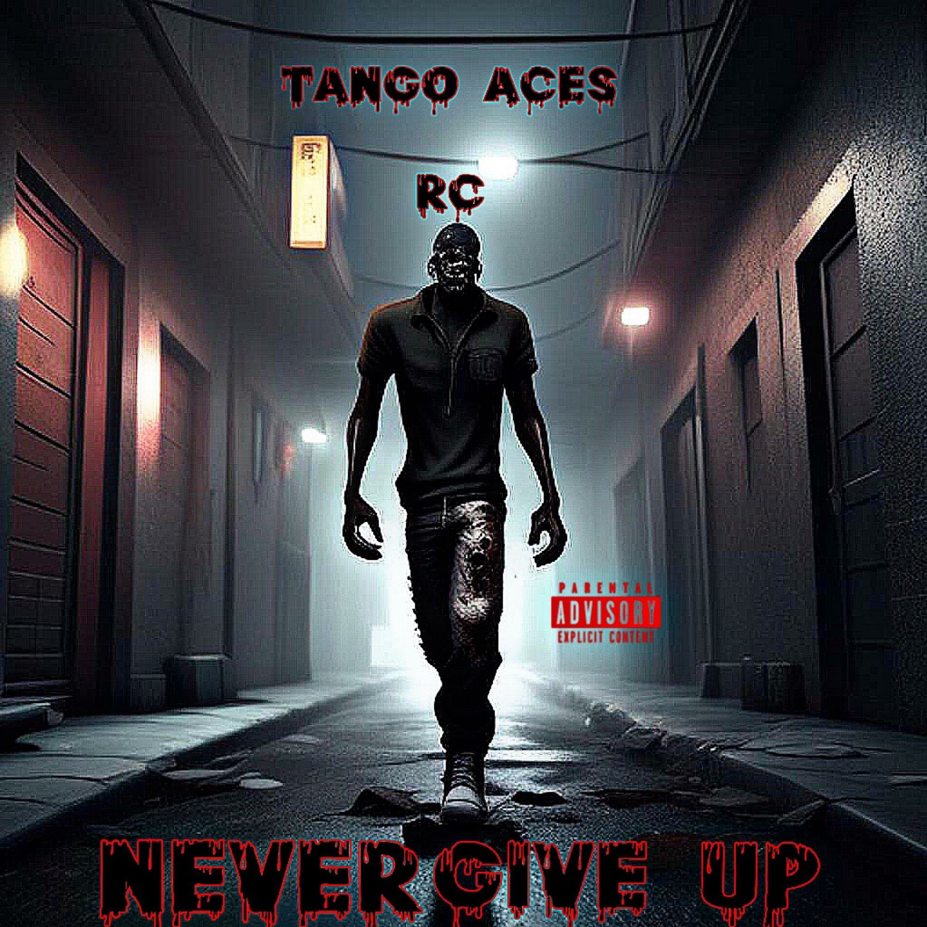 Album cover of Niver Give Up