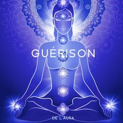 Cover of Guérison de l'aura: Cascade thaïlandaise parmi les oiseaux