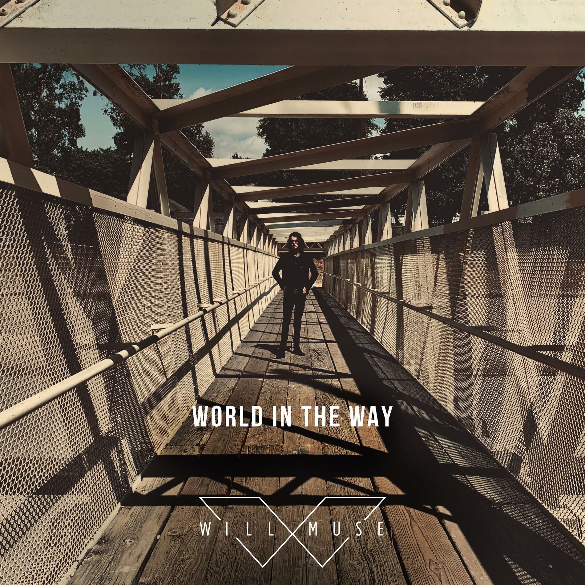 Album cover of World in the Way (feat. Steevie Steeves)