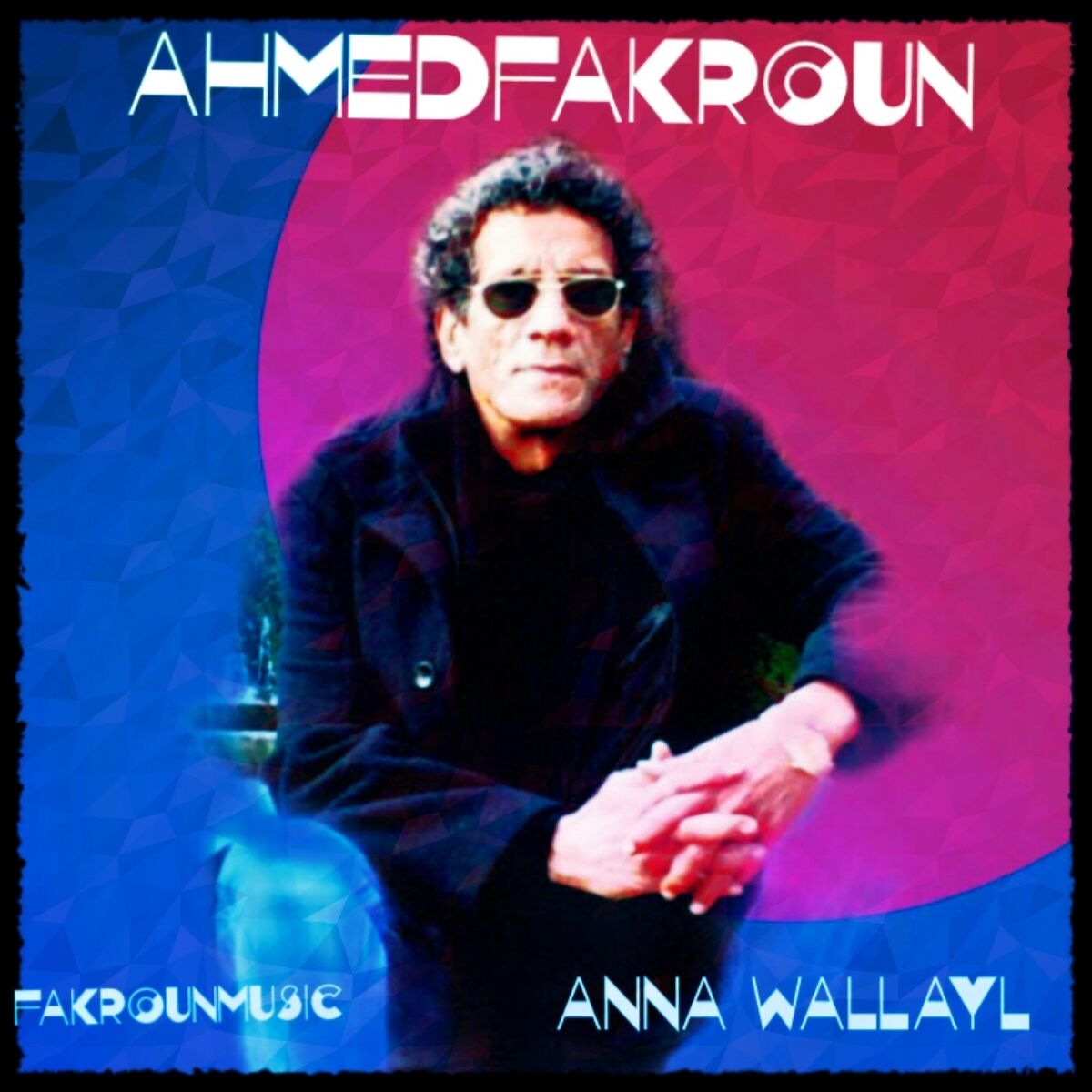 Album cover of Anna Wallayl