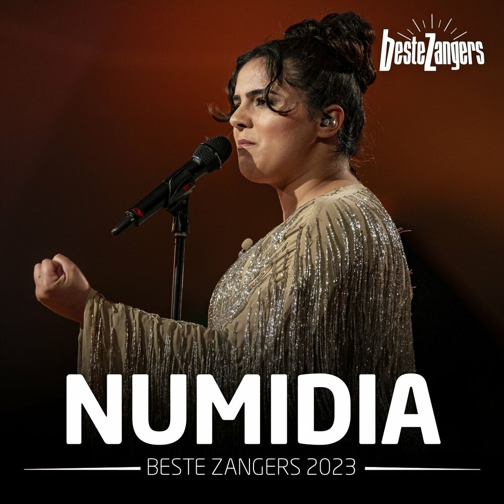 Picture of Beste Zangers 2023 (Numidia)