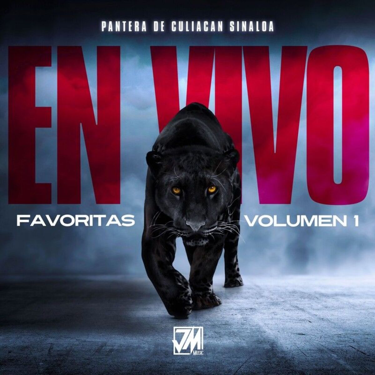 Album cover of Favoritas Volumen 1 (En Vivo)