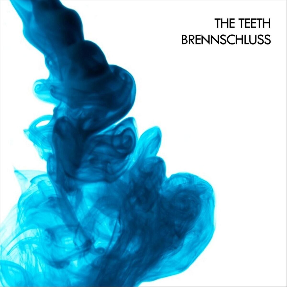 Album cover of Brennschluss