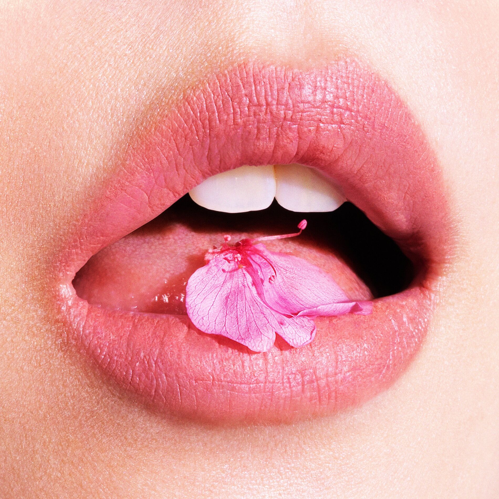 Album cover of On a Cherry Blossom Night