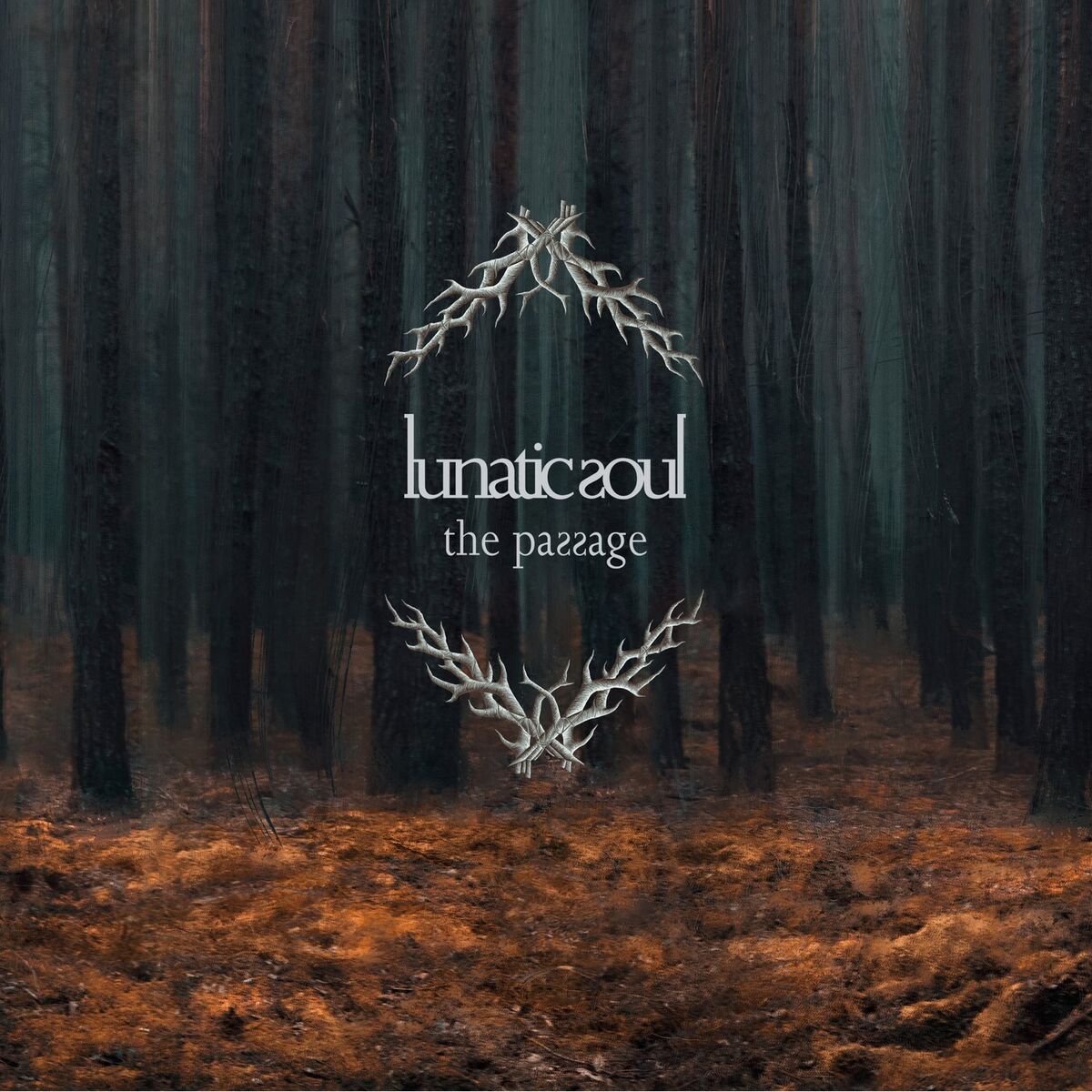 Album cover of The Passage