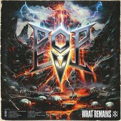 Cover of What Remains