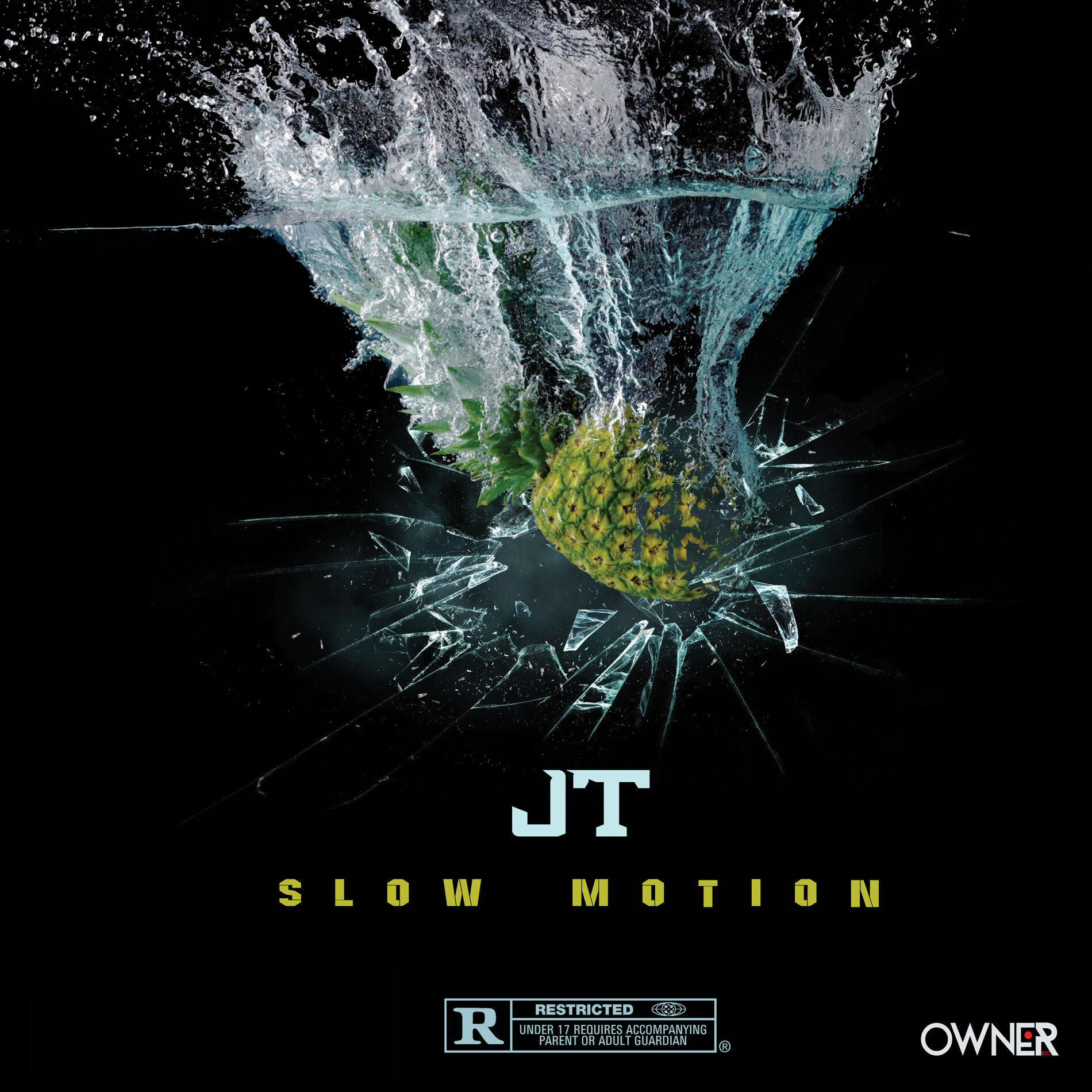 Album cover of Slow Motion