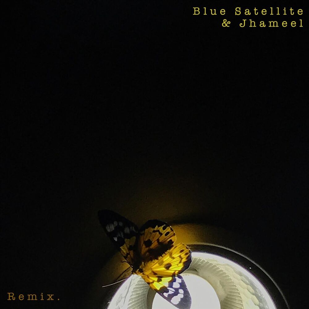 Picture of Remix.
