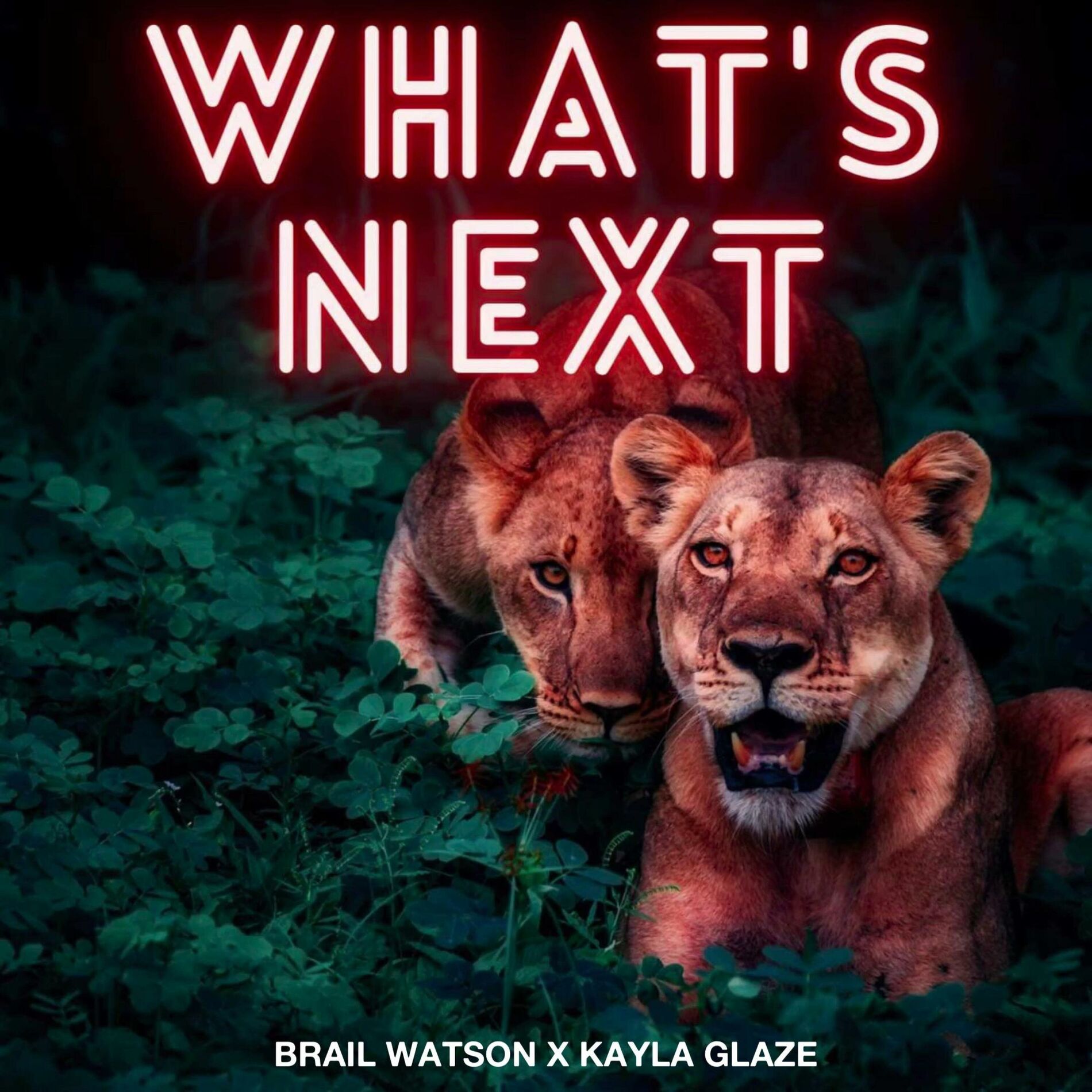 Album cover of What's Next (feat. Kayla Glaze)