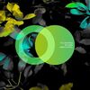 YELLOW SPACE - Focus