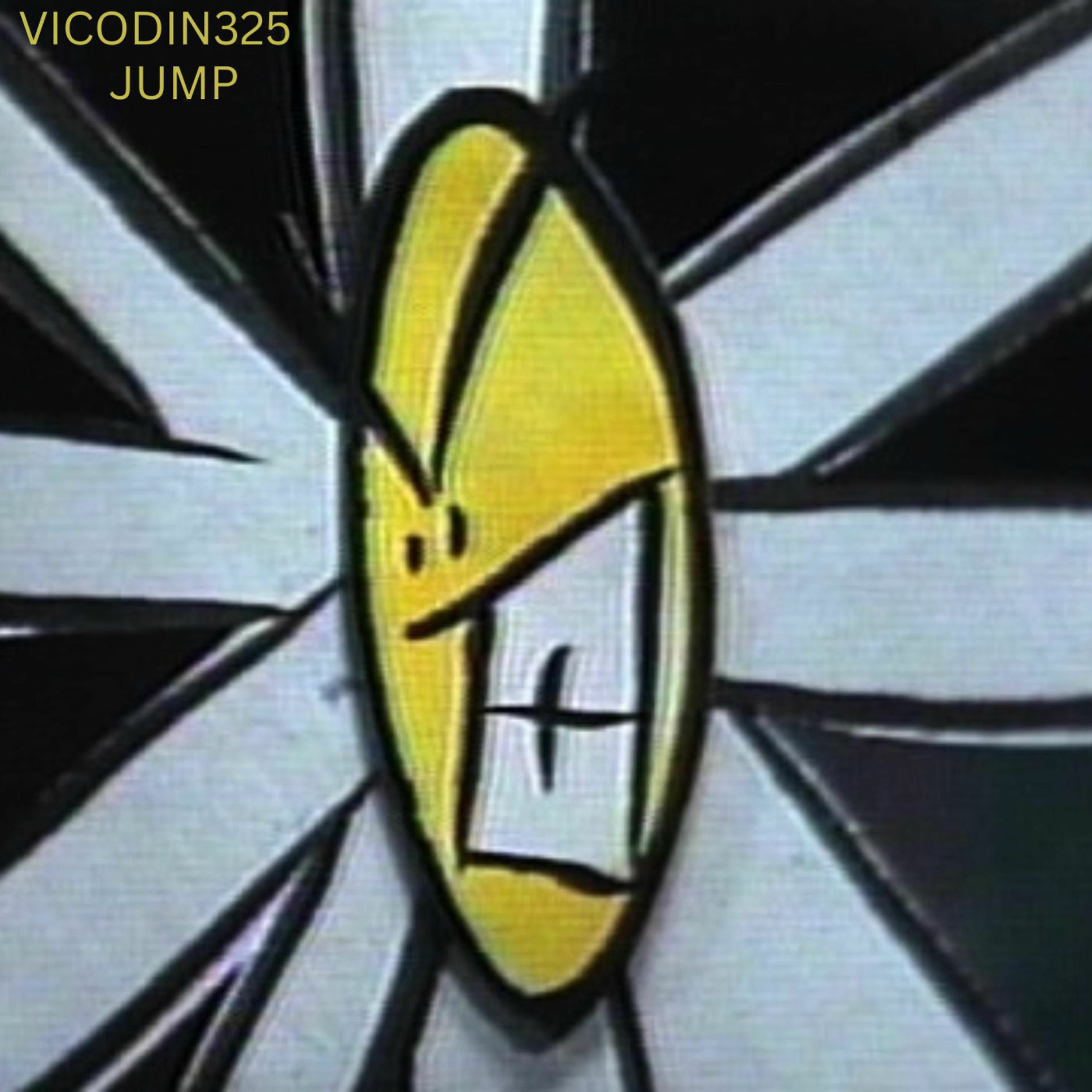 Album cover of VICODIN325/JUMP