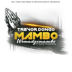 Cover of Mambo Wemadzimambo