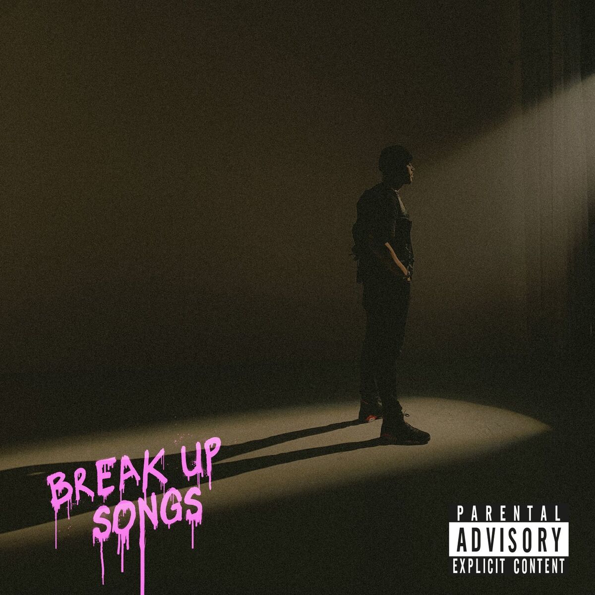 Album cover of BREAK UP SONGS