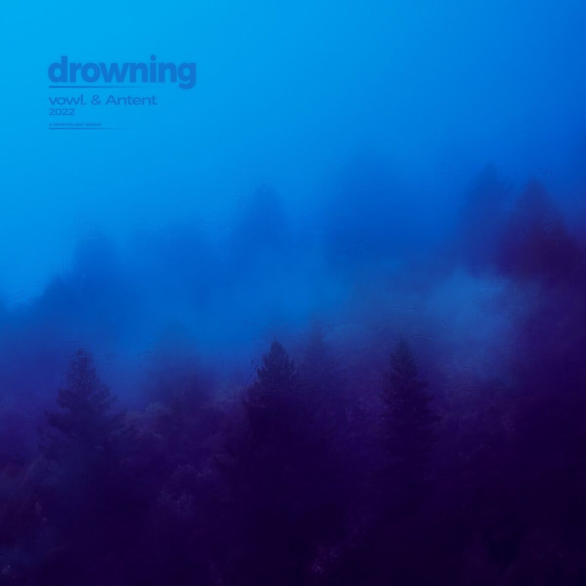Album cover of drowning