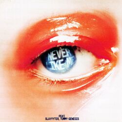 Cover of Never Like Me