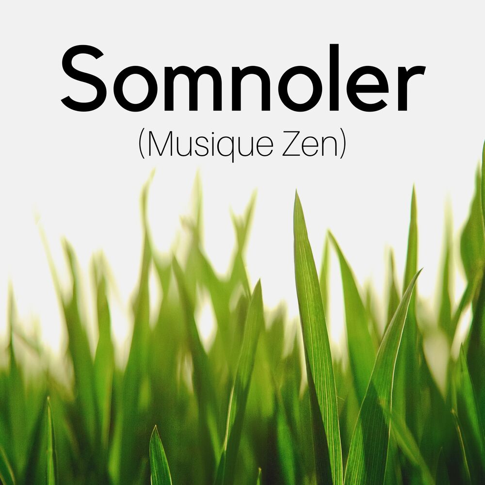 Picture of Somnoler (Musique Zen): Sommeil ultra puissante, Bruits Naturels, Dormir instantanément, Progressivement vers l'endormissement