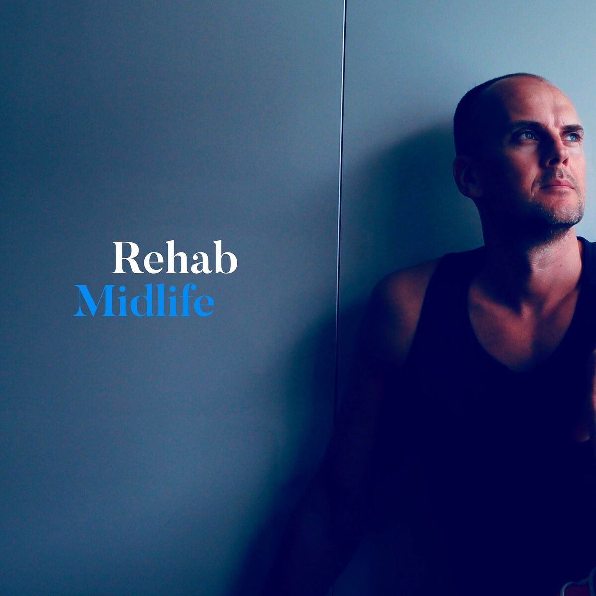 Album cover of Midlife