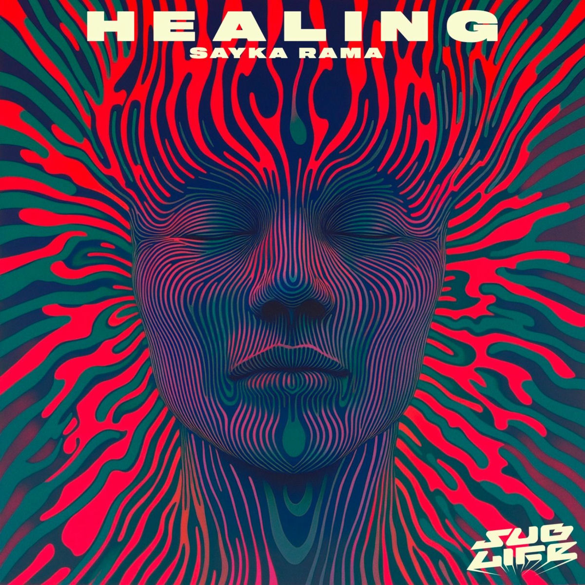 Album cover of Healing