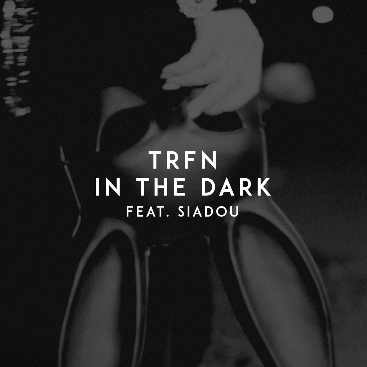 Album cover of In the Dark