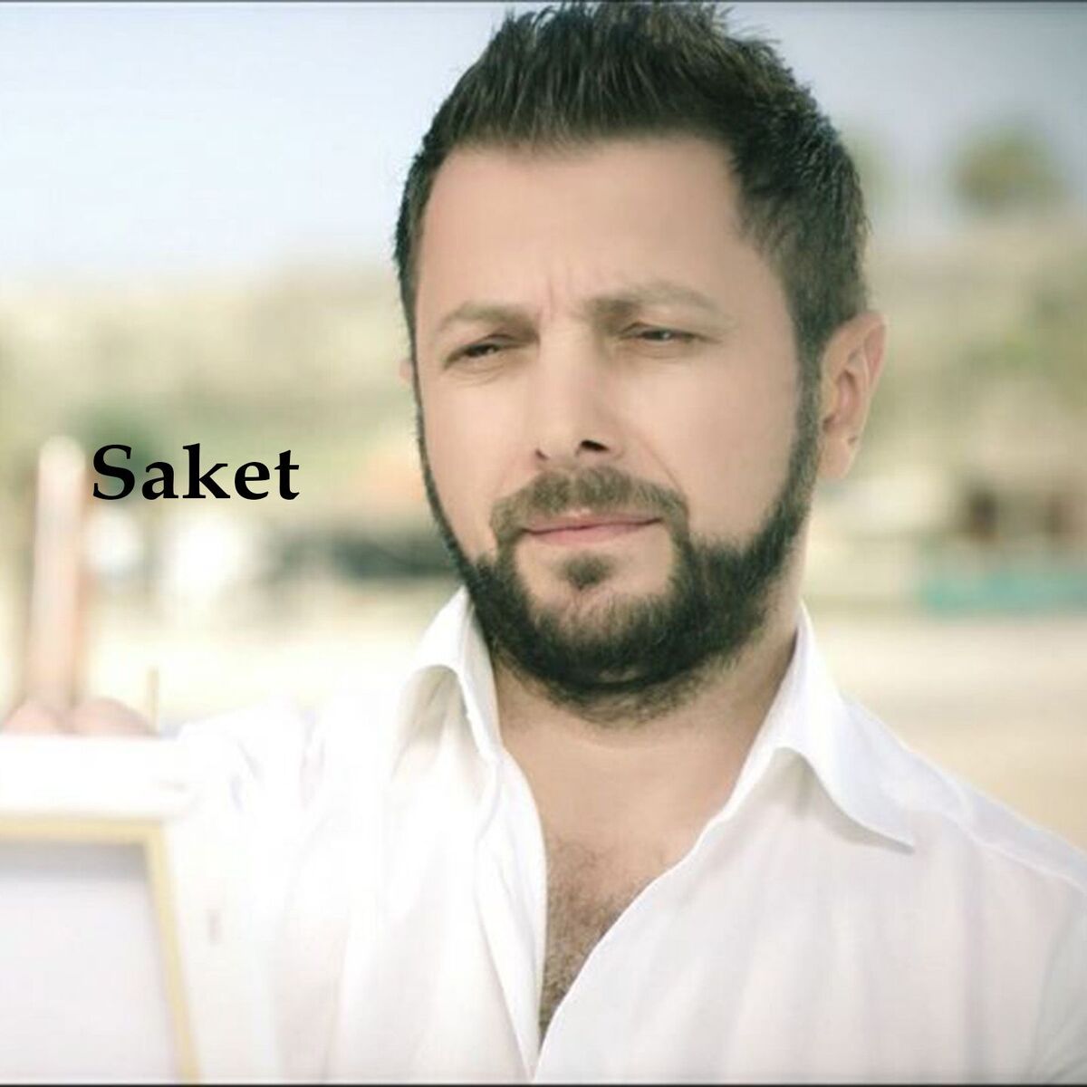 Album cover of Saket