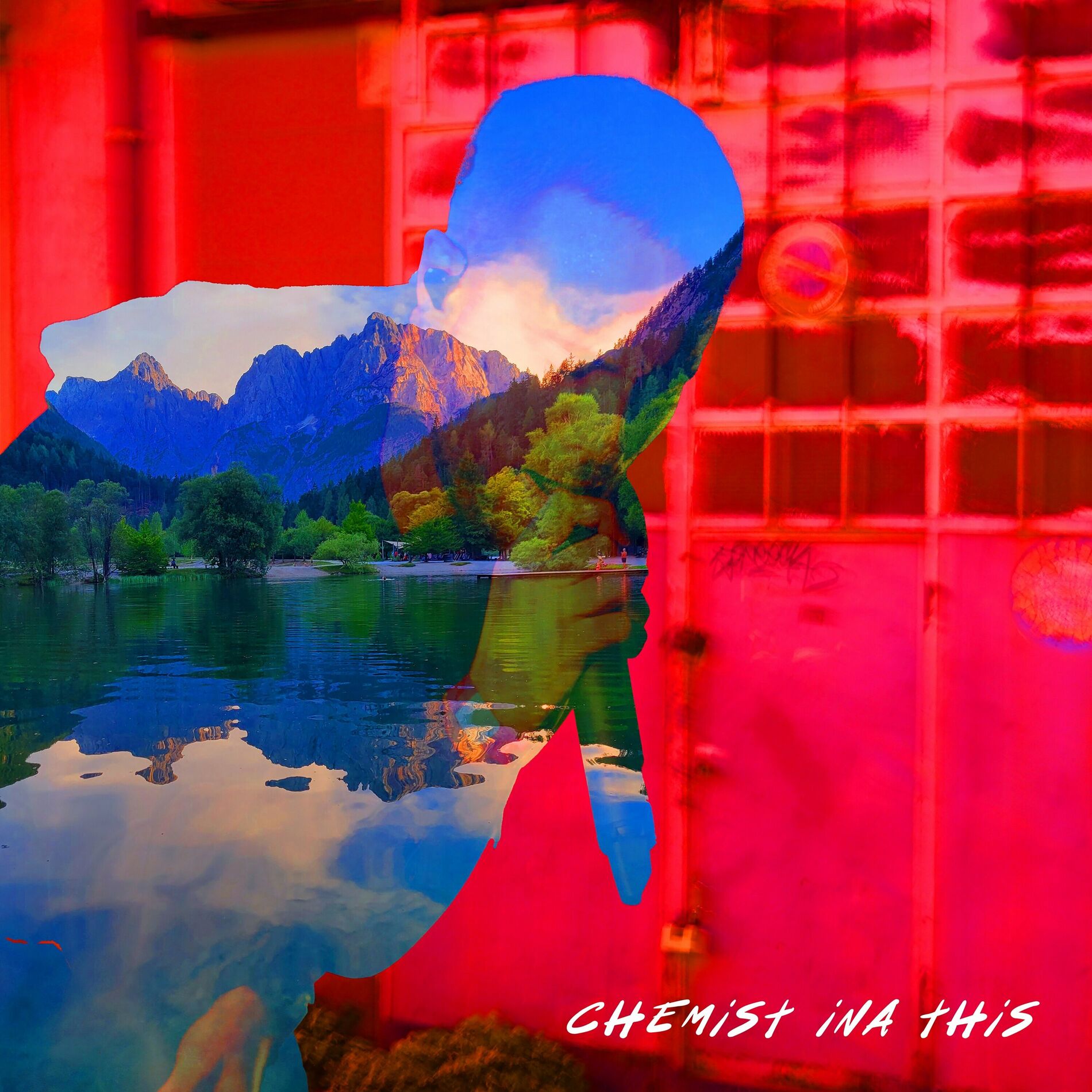 Album cover of Chemist Ina This