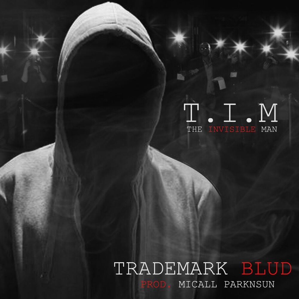 Picture of T.I.M (The Invisible Man)