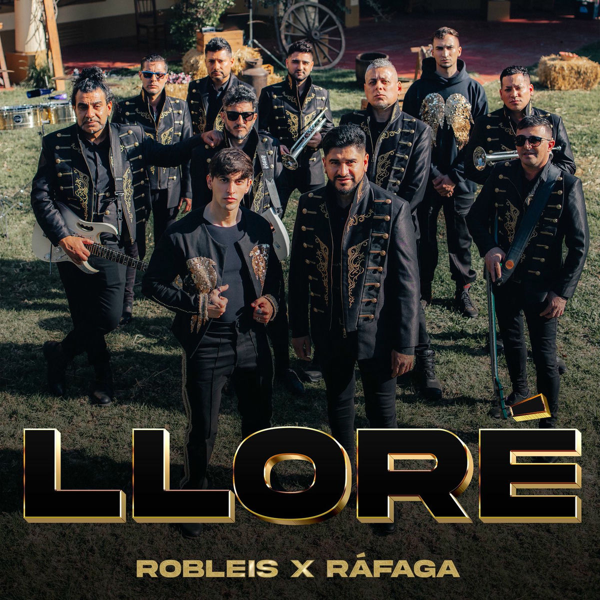 Album cover of Lloré