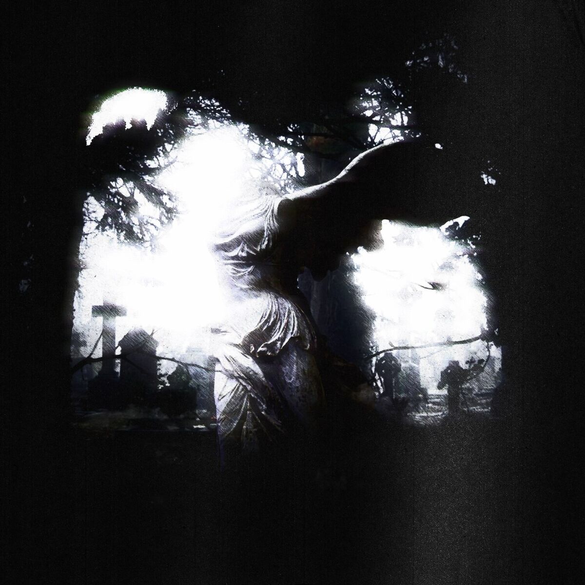 Album cover of Bruises